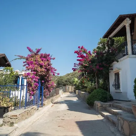 빌라 Charming House With Amazing Sea View In Bodrum
